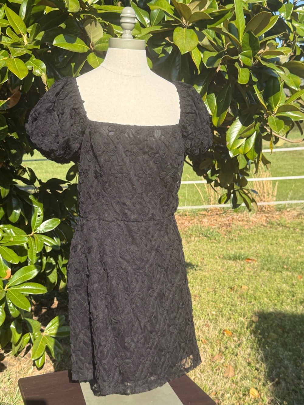 Francesca's Black Lace Dress (Black)